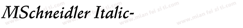 MSchneidler Italic字体转换